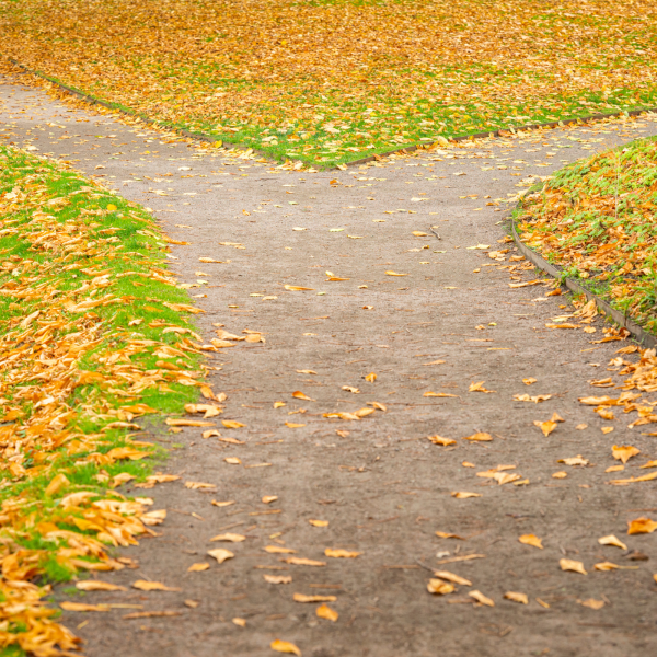 Ontwerp zonder titel (23)